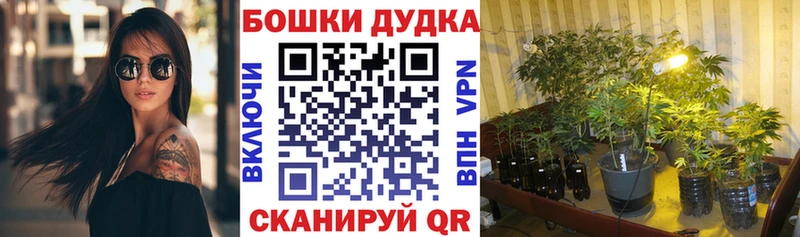 МАРИХУАНА THC 21% гидра рабочий сайт Шали