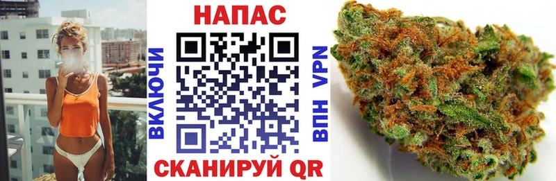 МАРИХУАНА семена Шали
